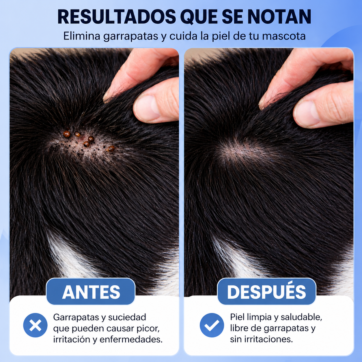Peine Antipulgas 4 en 1